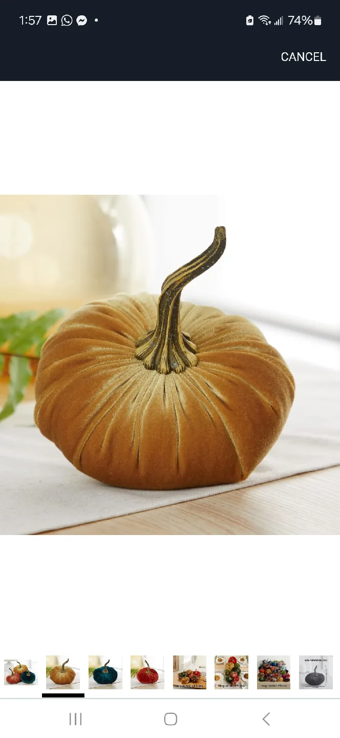 Velvet Pumpkins - Fall Decor image indicator(2)