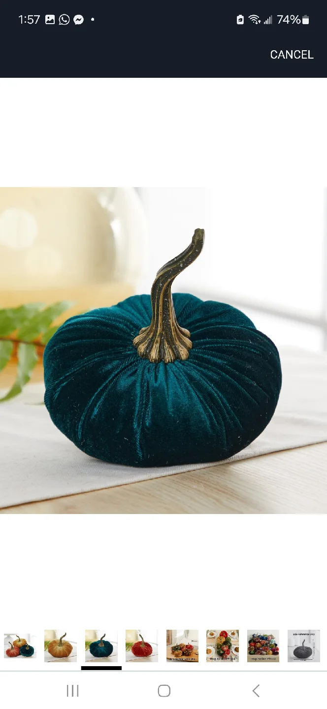 Velvet Pumpkins - Fall Decor image indicator(3)