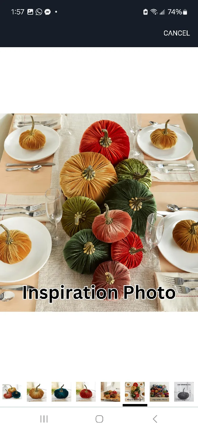 Velvet Pumpkins - Fall Decor image indicator(6)