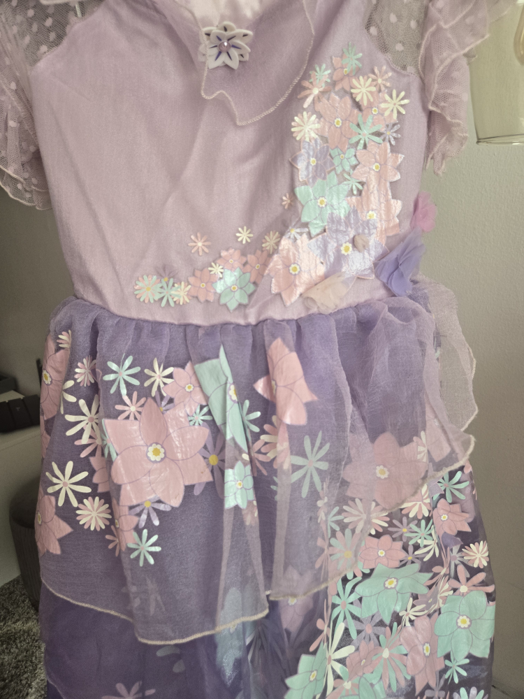 Disney Isabella Dress - Size 9/10