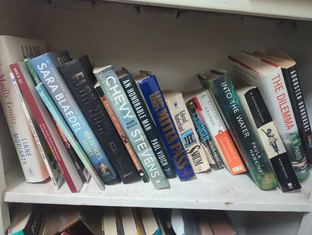 Mixed Lot of Books image indicator(2)