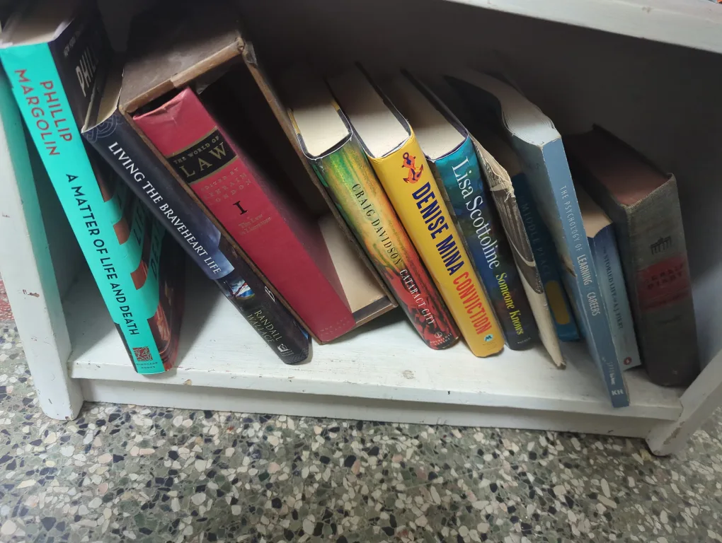 Mixed Lot of Books image indicator(3)