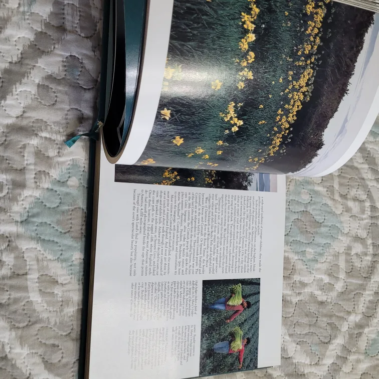 Discovering Britain & Ireland - National Geographic Society 1985 image indicator(10)