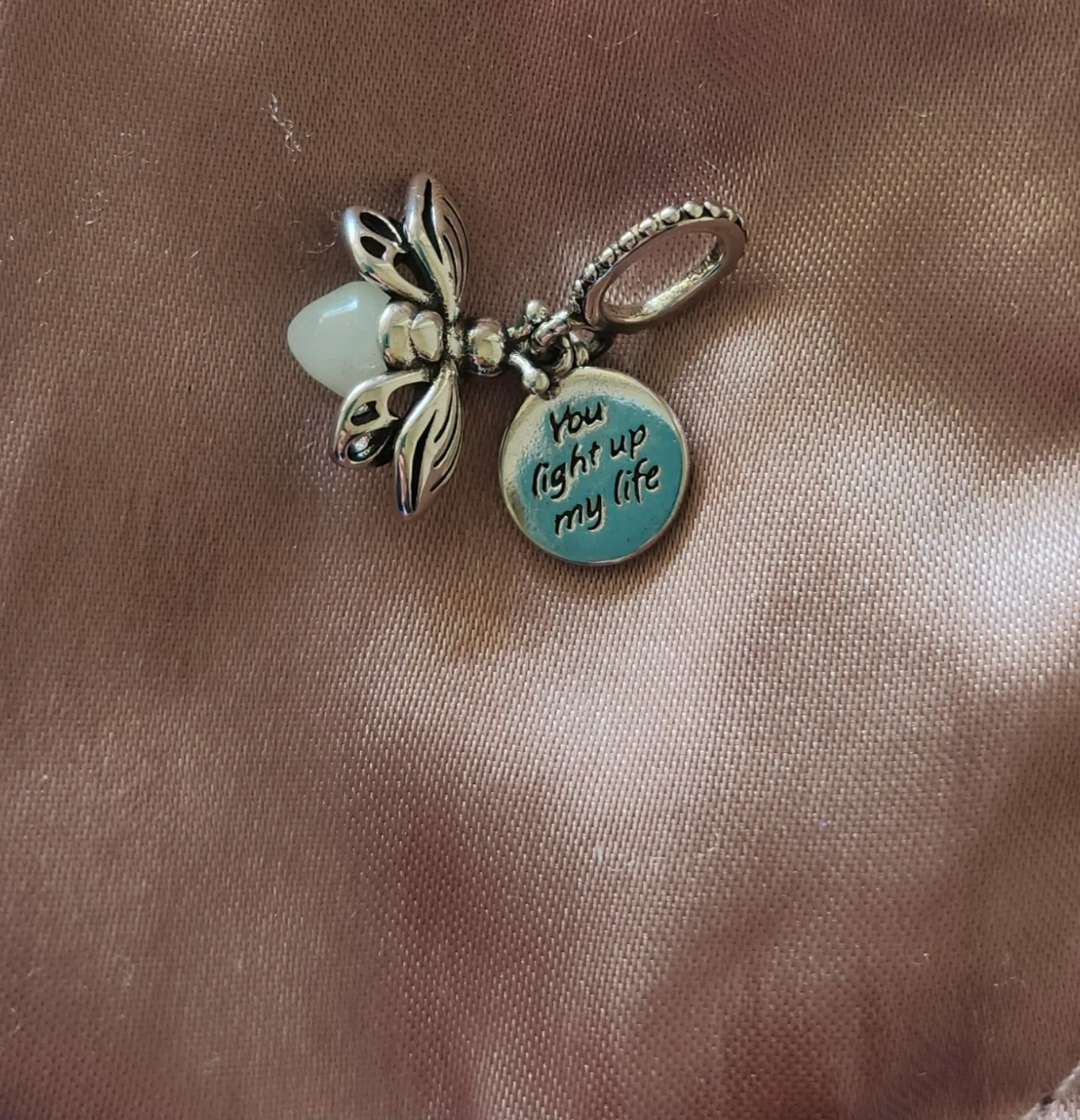 Firefly You Light Up My Life Charm