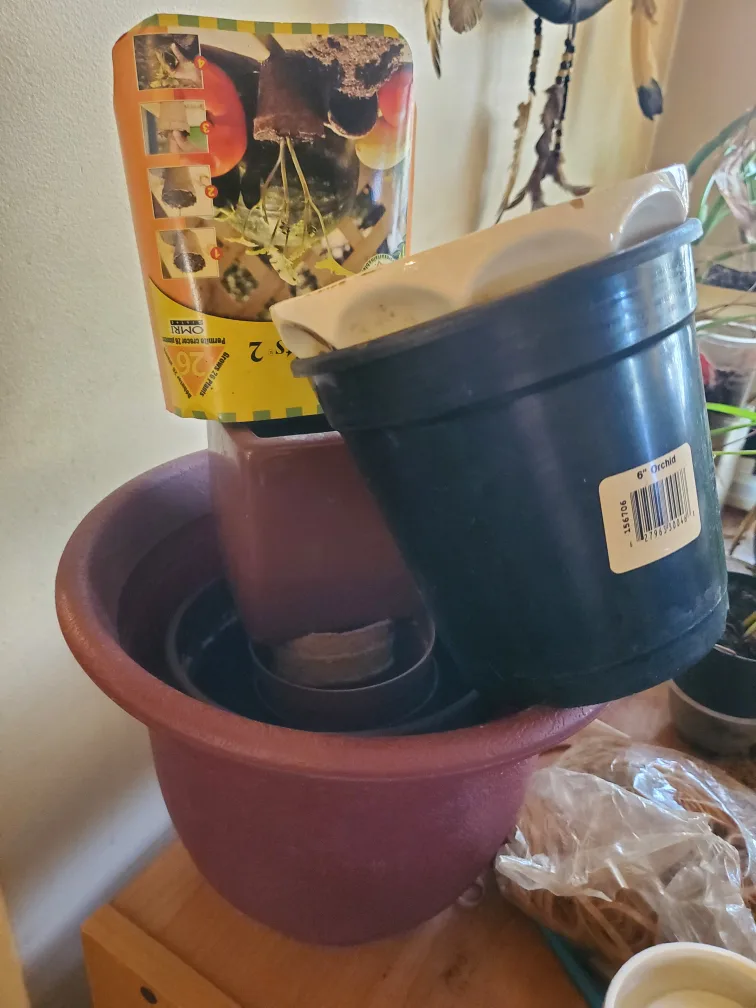 various house plants image indicator(4)