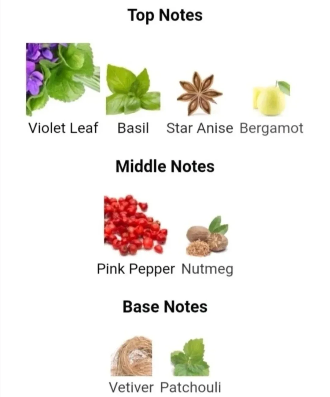 Yves Saint Laurent L'homme Libre ~Vintage cologne Fragrance image indicator(6)