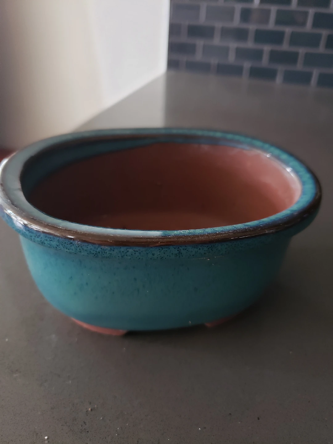 Blue Ceramic Bonsai/succulent Pot 🥕 - photo 2