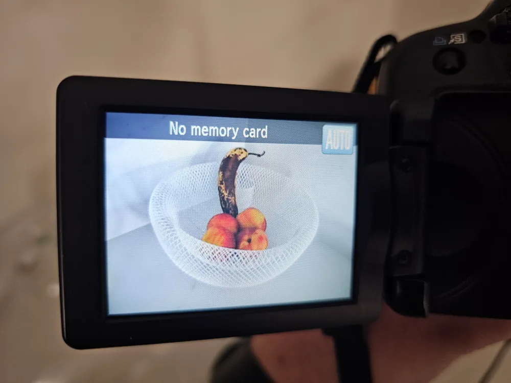 Canon PowerShot SX20 IS Digital Camera with Bag image indicator(4)