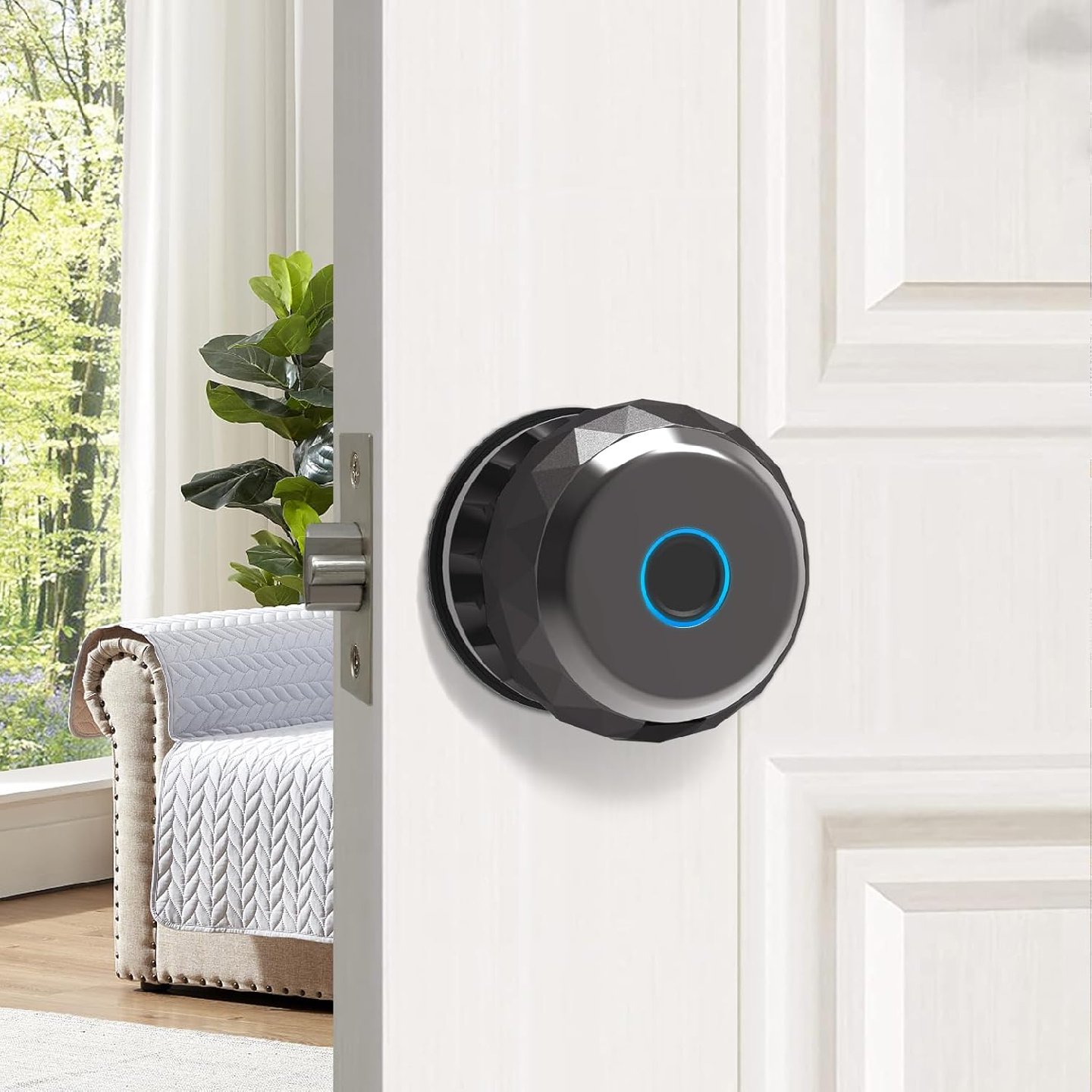 Euphoricca Fingerprint Door Locks