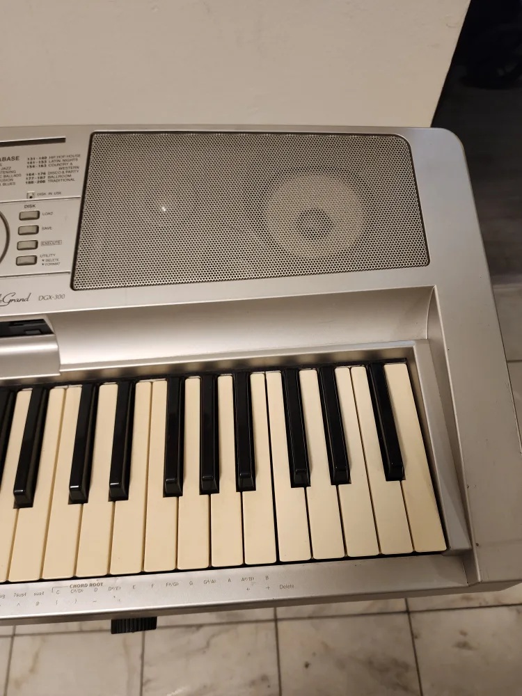 Yamaha Portable Grand DGX-300 Keyboard image indicator(7)