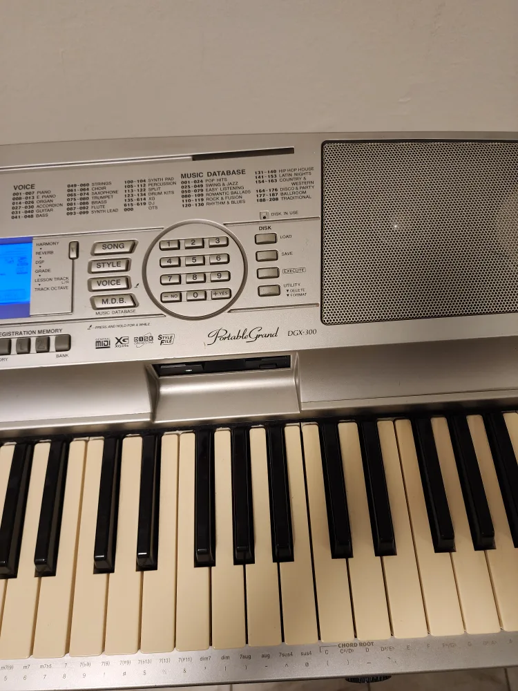 Yamaha Portable Grand DGX-300 Keyboard image indicator(8)