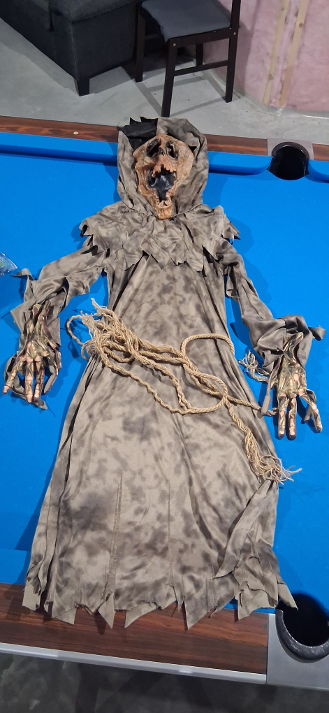 swamp monster costume