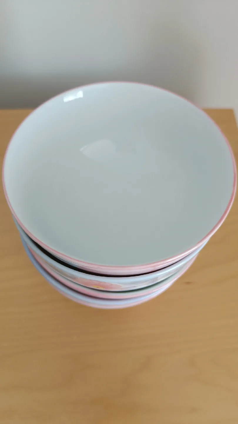 Floral Pattern Bowls (Set of 5) 🥕 image indicator(2)