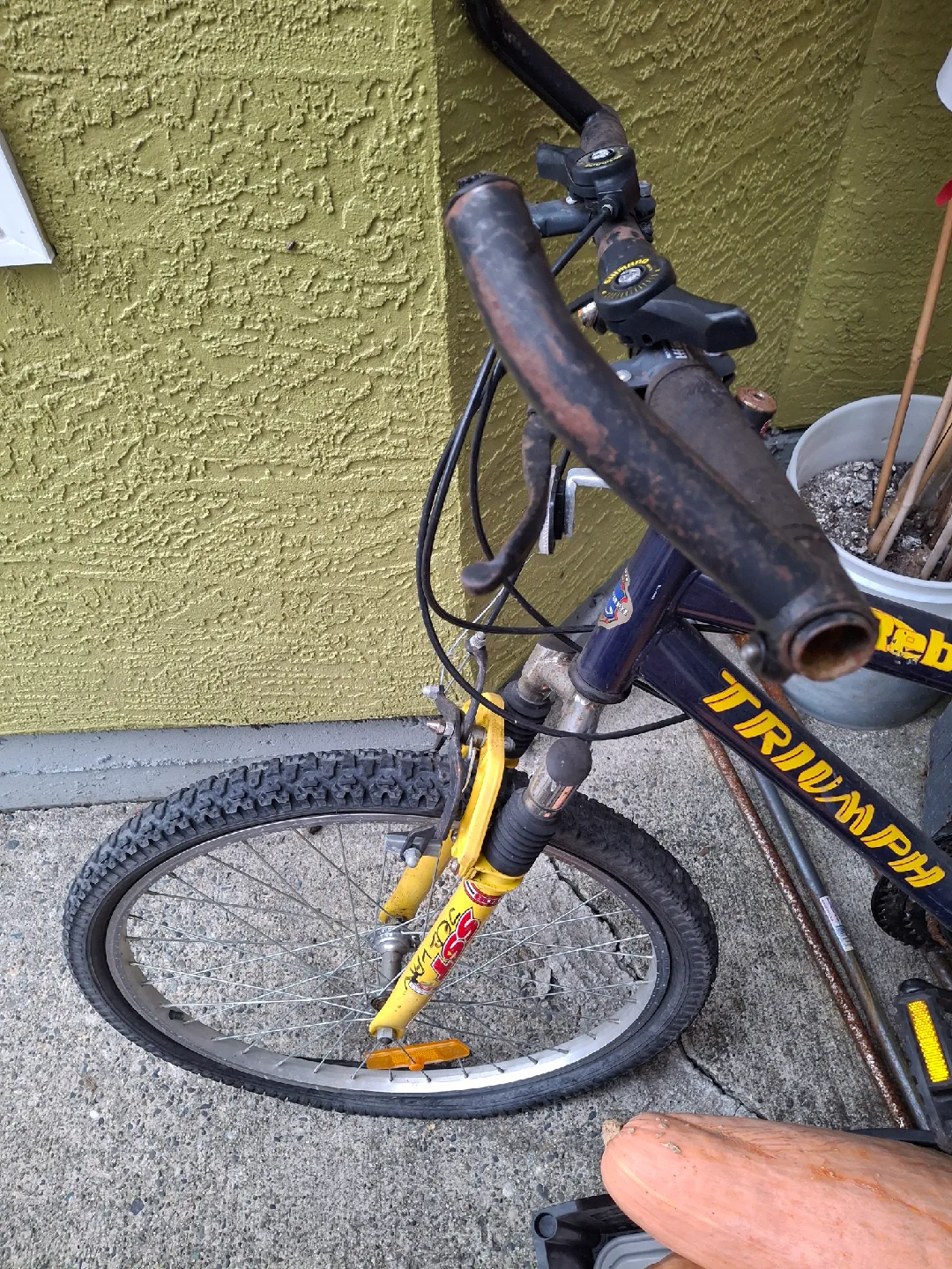 Triumph Rebound 18 Bicycle image indicator(2)