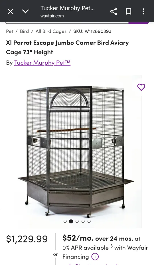 large bird cage with 1 umbrella cockatoo image indicator(3)