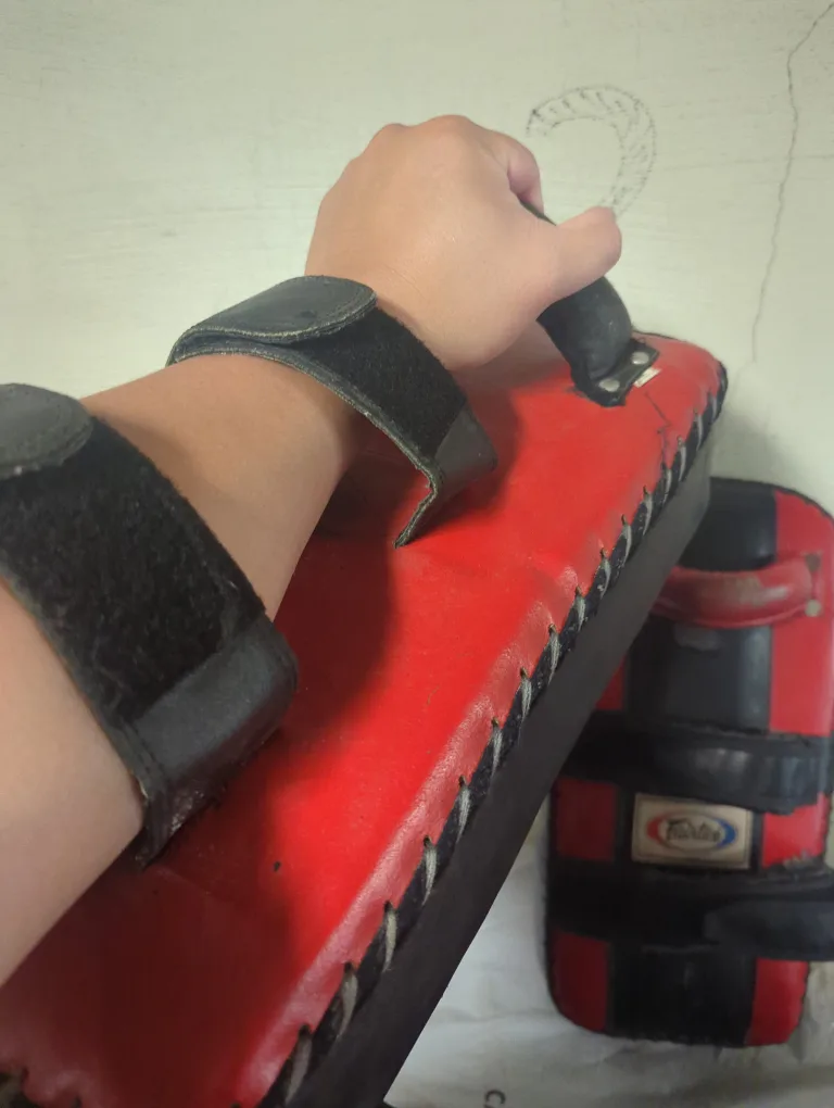 Fairtex Thai Kick Pads - Red & Black image indicator(3)