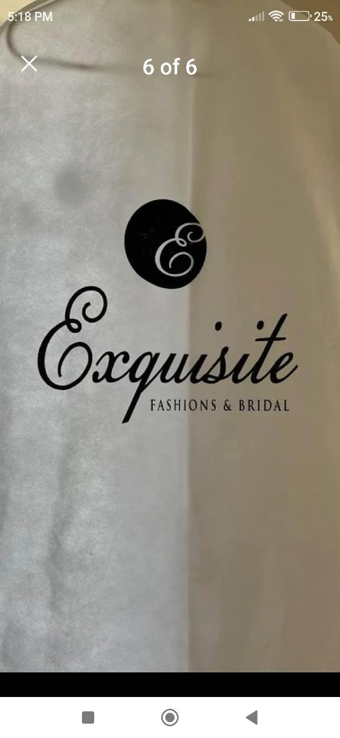 Paloma Blanca 4746 Wedding Dress - Nude/Rose, Fitted image indicator(4)