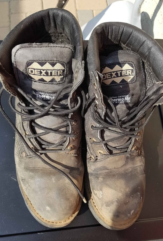 Dexter Thinsulate Hiking boots size 8