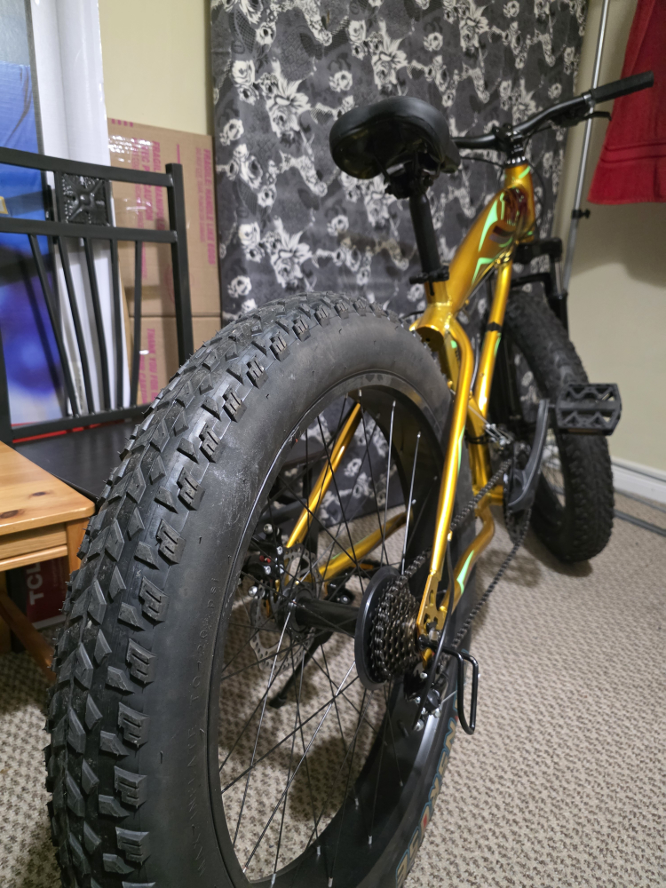 Gunrose Fat Tire Bike - Gold - photo 3