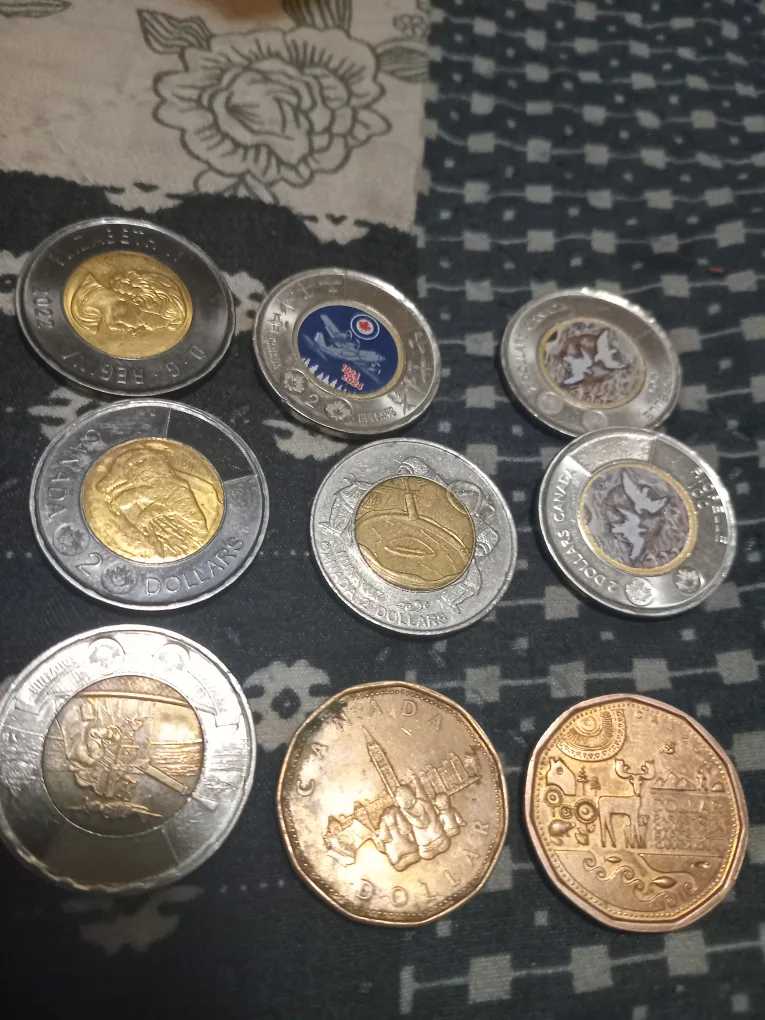 special edition toonies and loonies thumbnail
