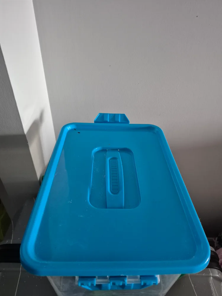 Dollarama Storage Container 8.4 L thumbnail