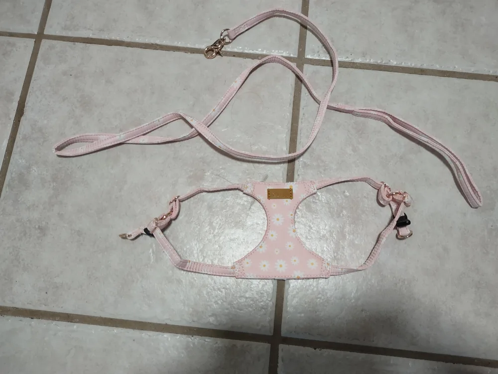 Pink Dog Harness and Leash Set thumbnail
