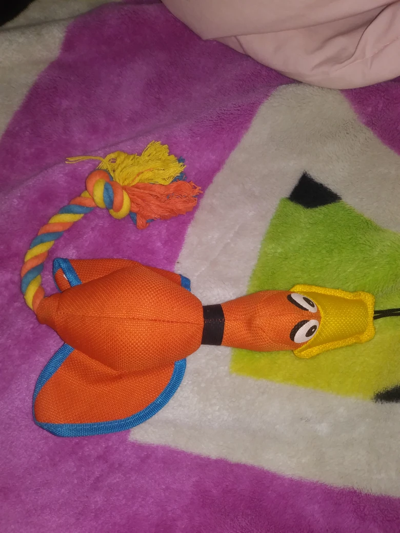 Orange Duck Dog Toy with Rope