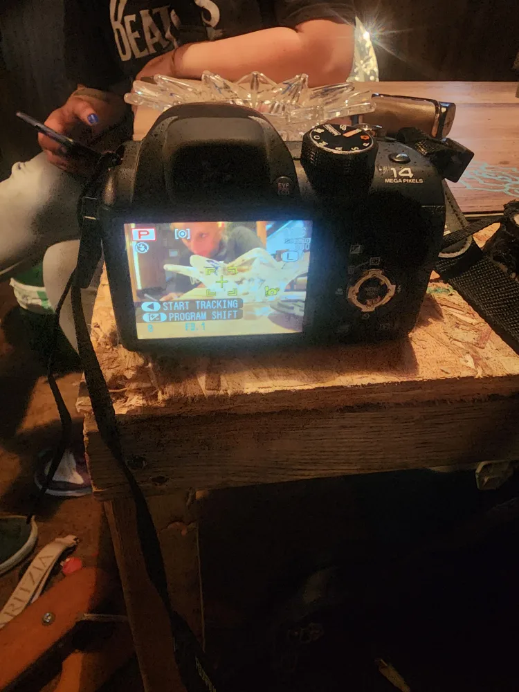 Fujifilm FinePix S Digital Camera image indicator(3)