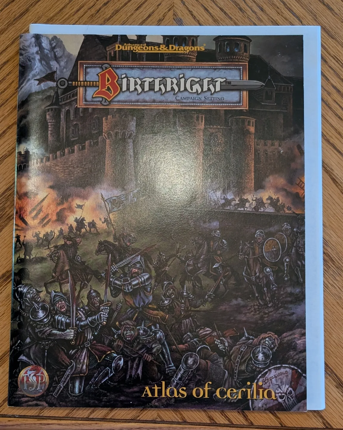 Advanced Dungeons & Dragons Birthright Campaign Setting thumbnail