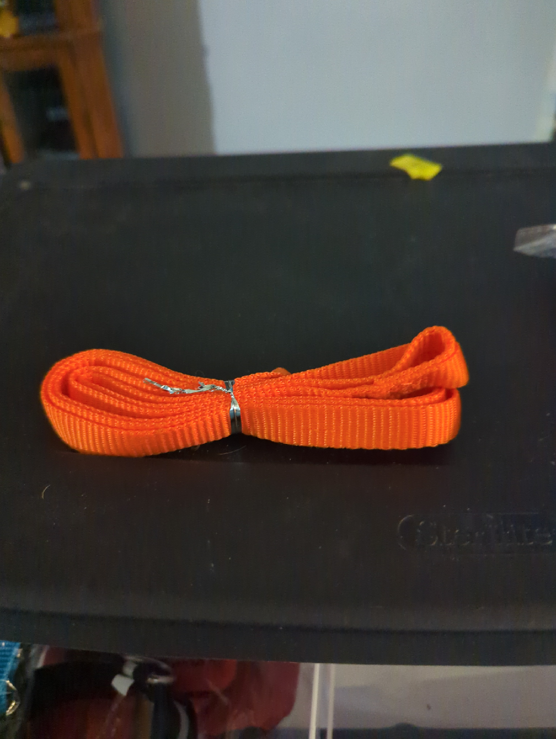 Orange Leash