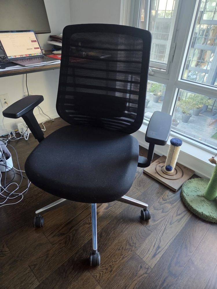 Branch Ergonomic Chair