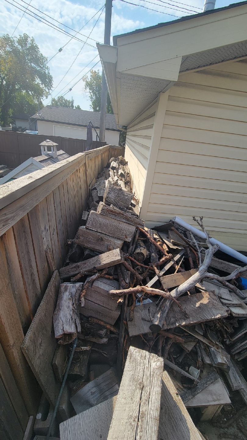 Free firewood