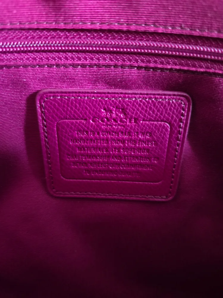 Coach Dome Crossbody or Handbag - Beige image indicator(7)