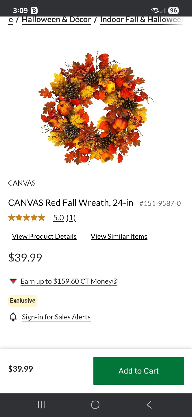 Fall Harvest Pumpkin Wreath image indicator(5)