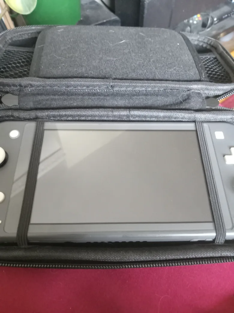 Nintendo Switch Lite Grey with Case thumbnail