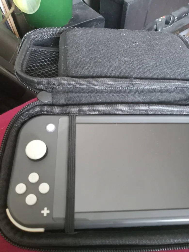 Nintendo Switch Lite Grey with Case image indicator(5)