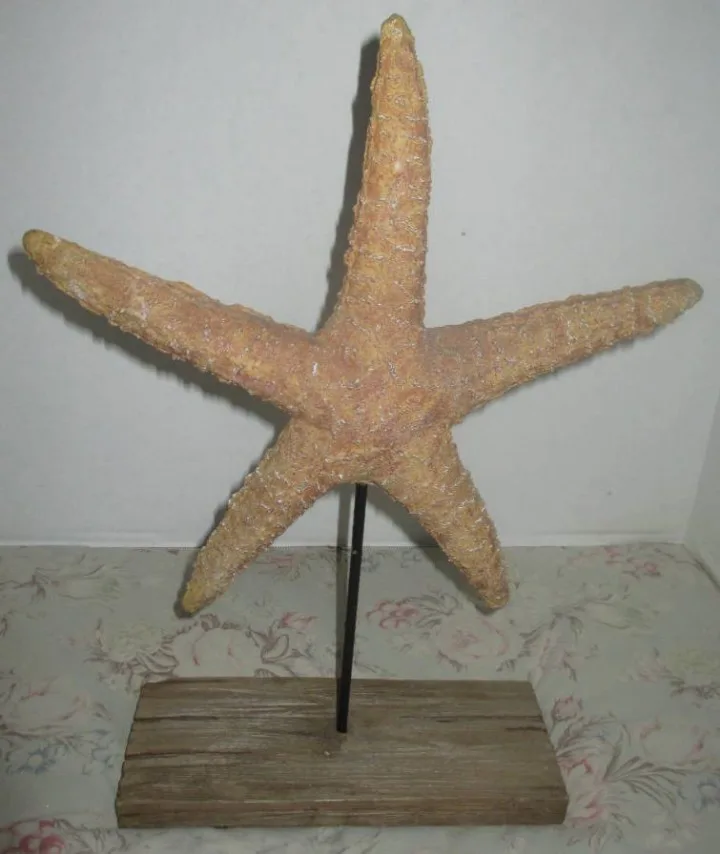 Starfish on Stand thumbnail