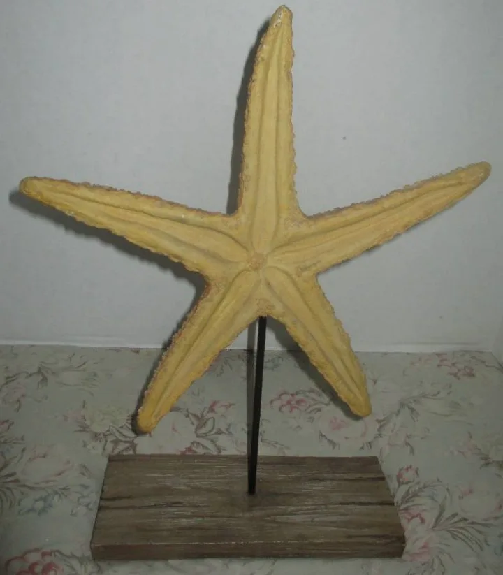 Starfish on Stand image indicator(2)
