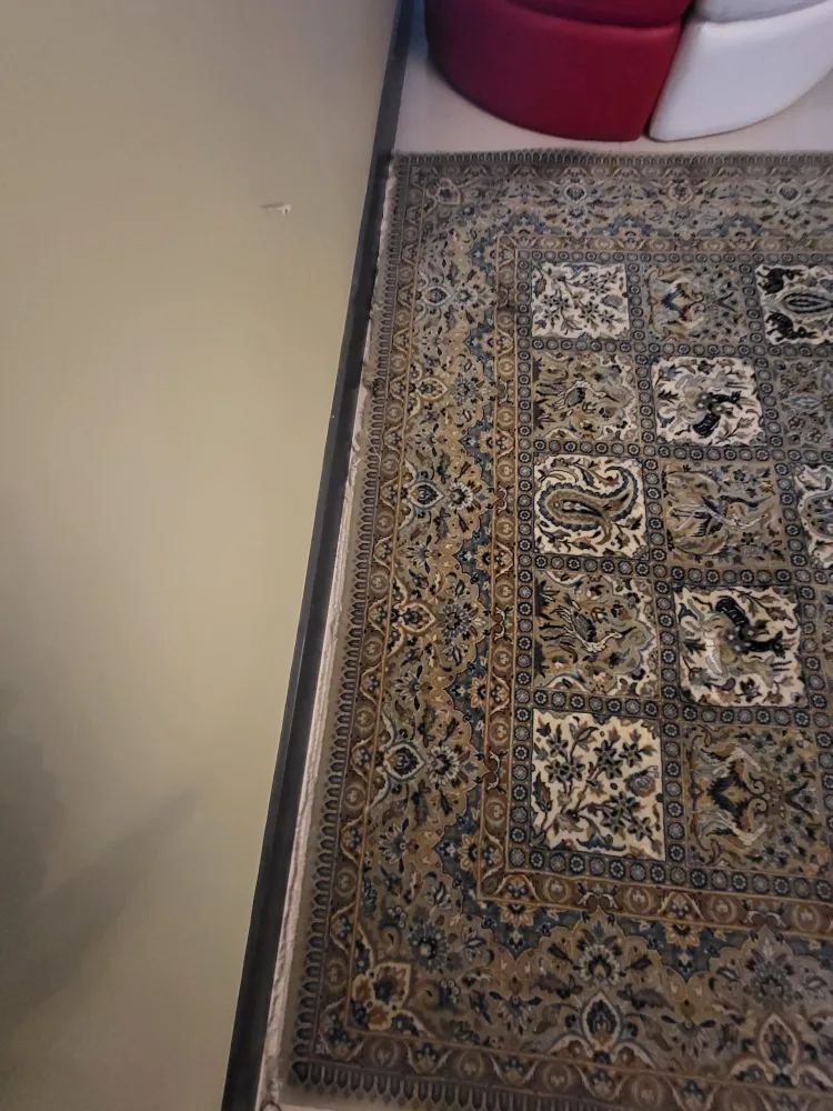 Persian Area Rug image indicator(7)