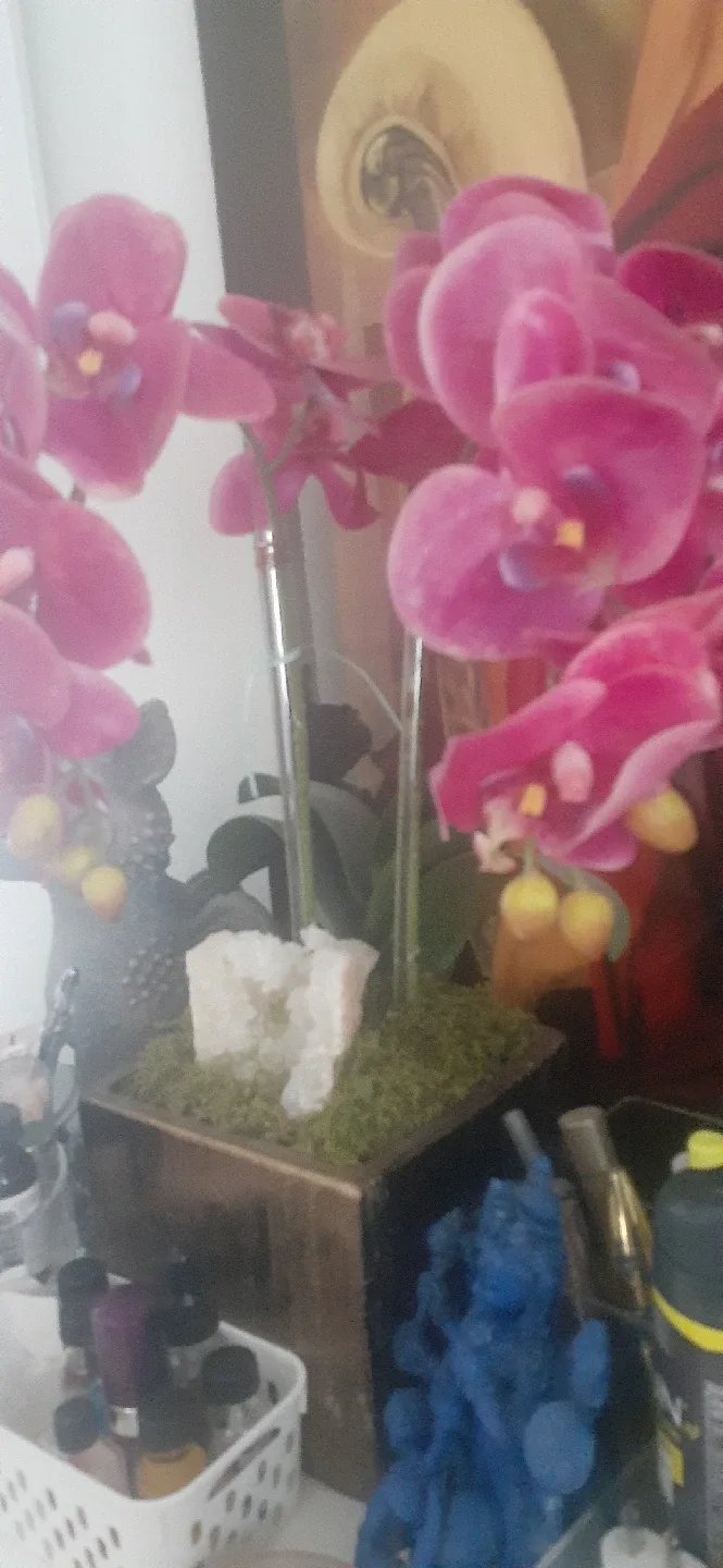 artificial plant. with crystal thumbnail