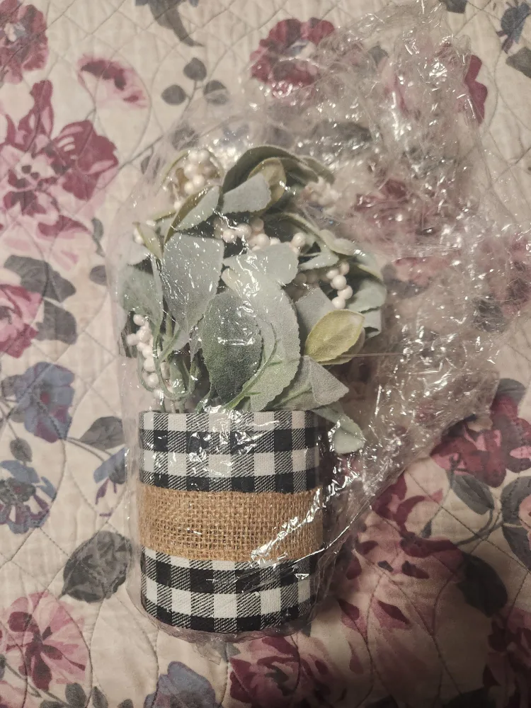 Decorative Potted Plant - Black & White thumbnail
