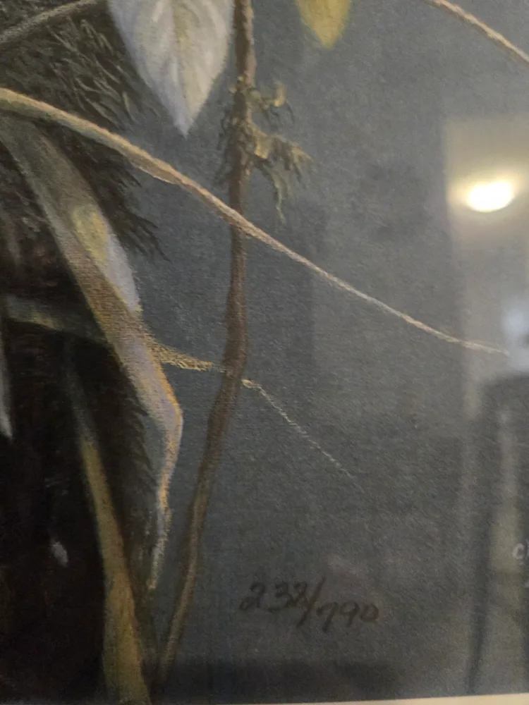 "Exotic Encounter" Simon Art Limited By Liz Lesperance image indicator(4)