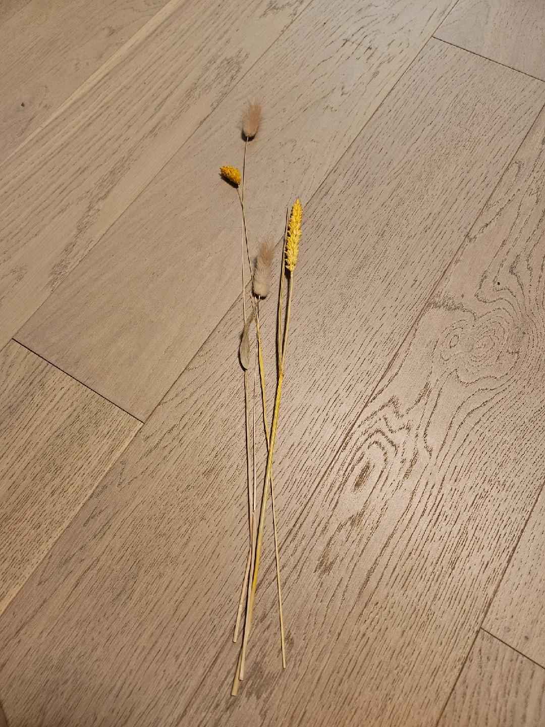 dried flower stems... thumbnail