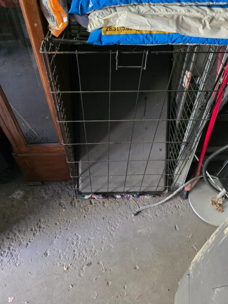 Dog Crate large image indicator(2)