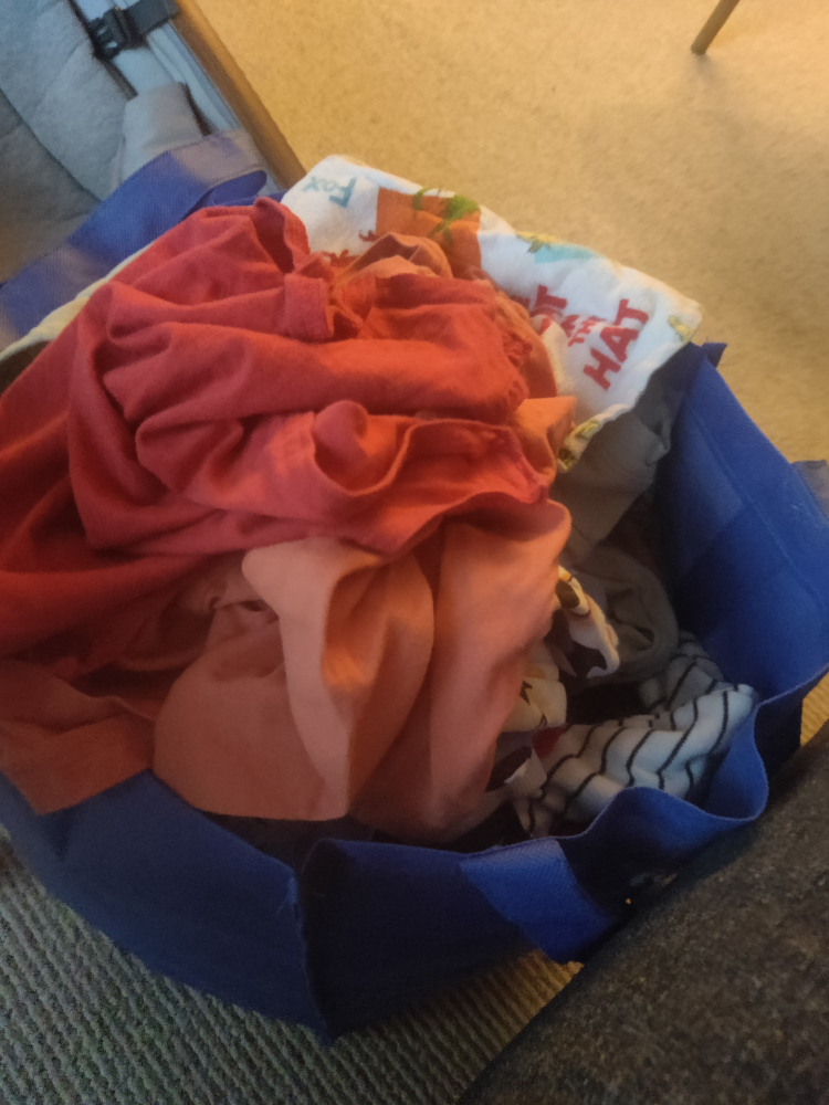 Free bag baby boy clothes