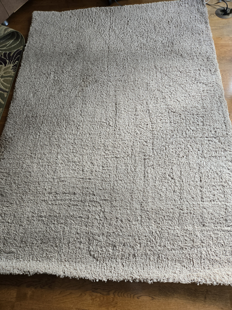 Large Beige Shag Rug