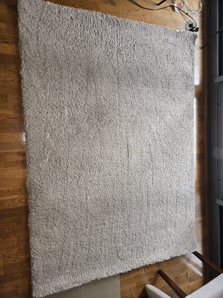 Large Beige Shag Rug - photo 2