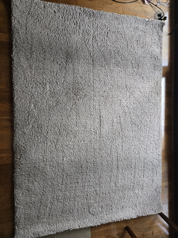Large Beige Shag Rug - photo 3