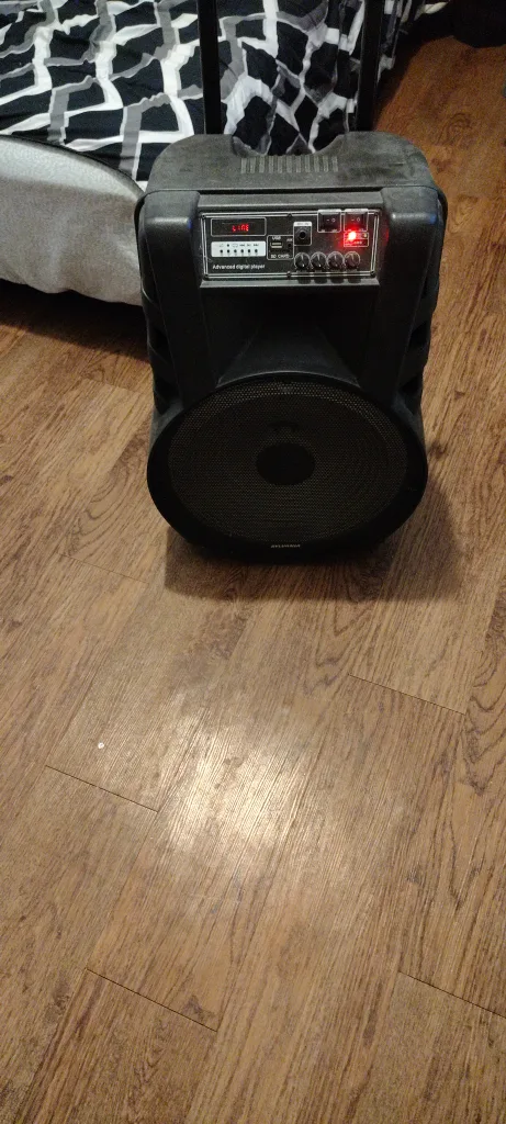 rave speaker Sylvania pro speaker rattled my windows image indicator(5)