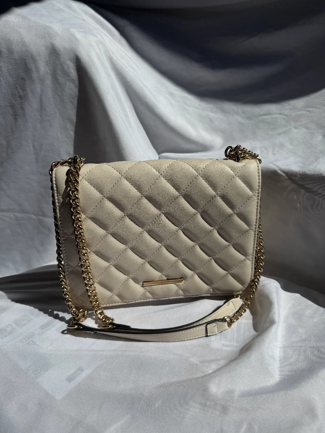 Beautiful Aldo Bag thumbnail